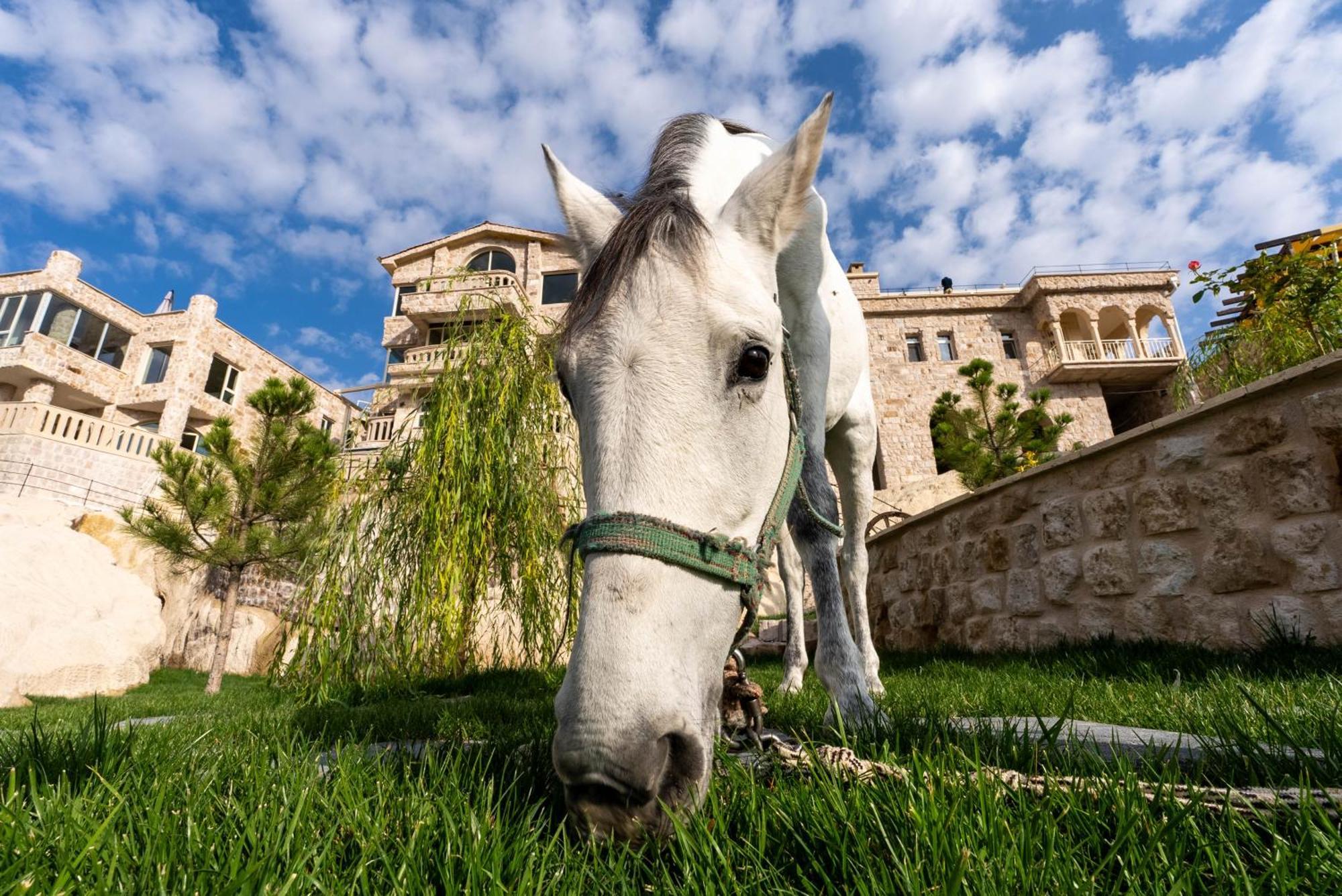 Be Still Alexa Smart Luxury Escape Adults Only Nevşehir Zewnętrze zdjęcie